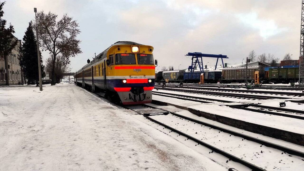 В латвийском Екабпилсе мужчина пытаясь спасти собаку сам попал под поезд