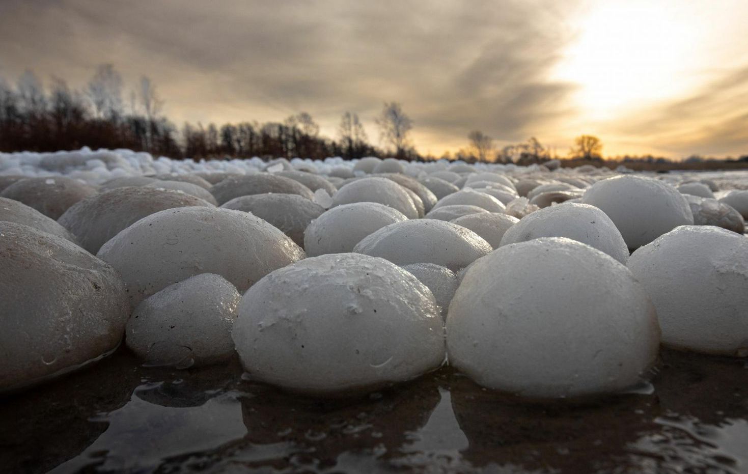 Редчайшее природное явление: эстонский пляж покрылся ледяными шарами
