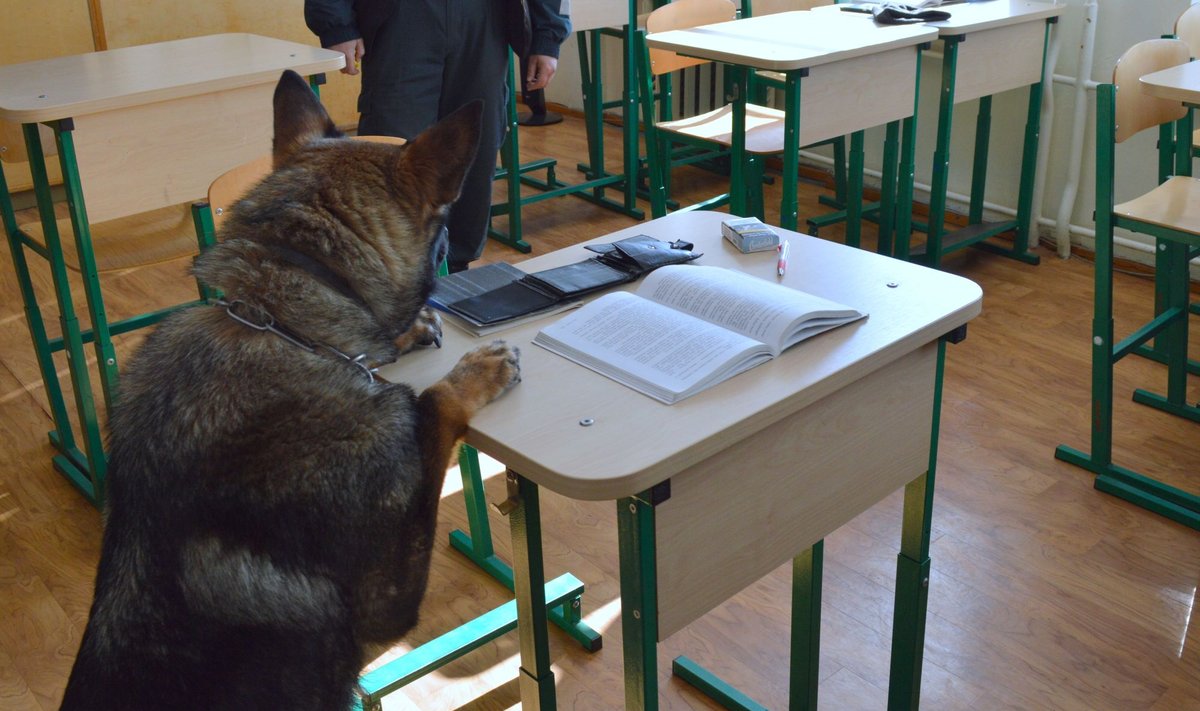 МВД и полиция проведут проект по превенции наркотиков в школах: начнут с Вильнюса