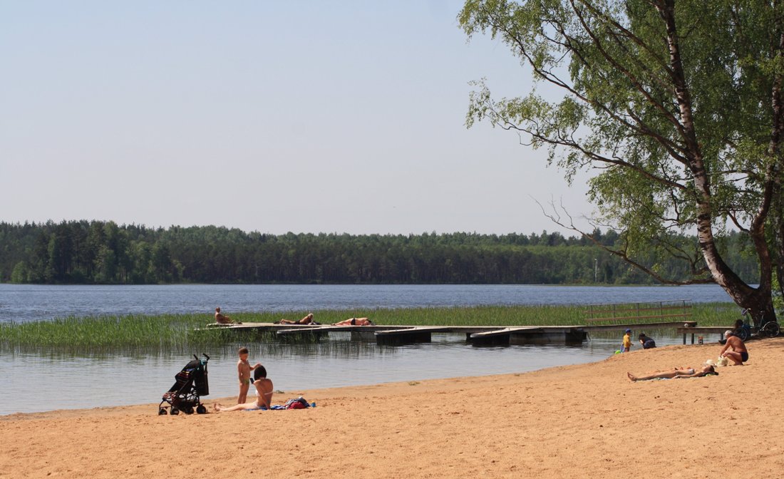 О наблюдении за качеством воды в Висагинском озере