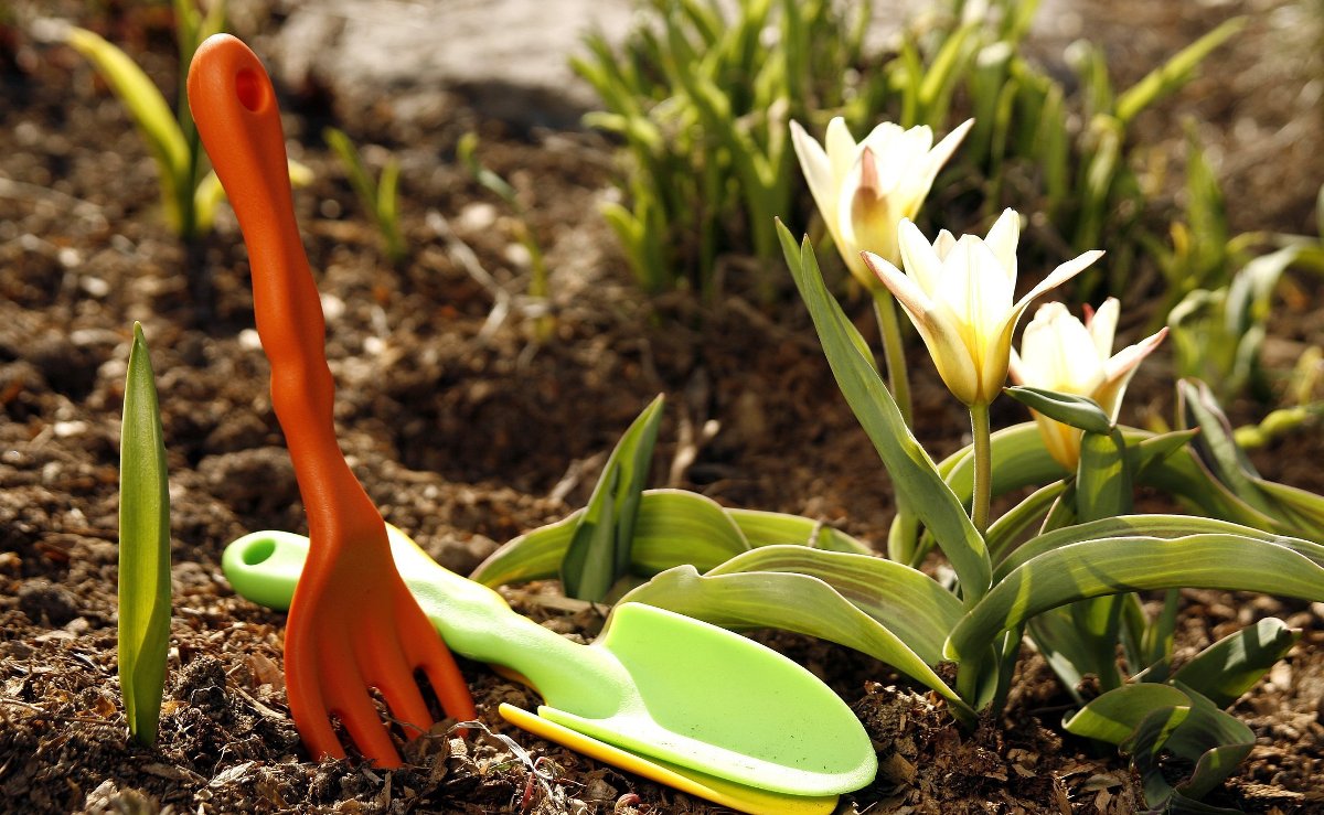 Пора заботиться о саде и огороде: список дел на апрель
