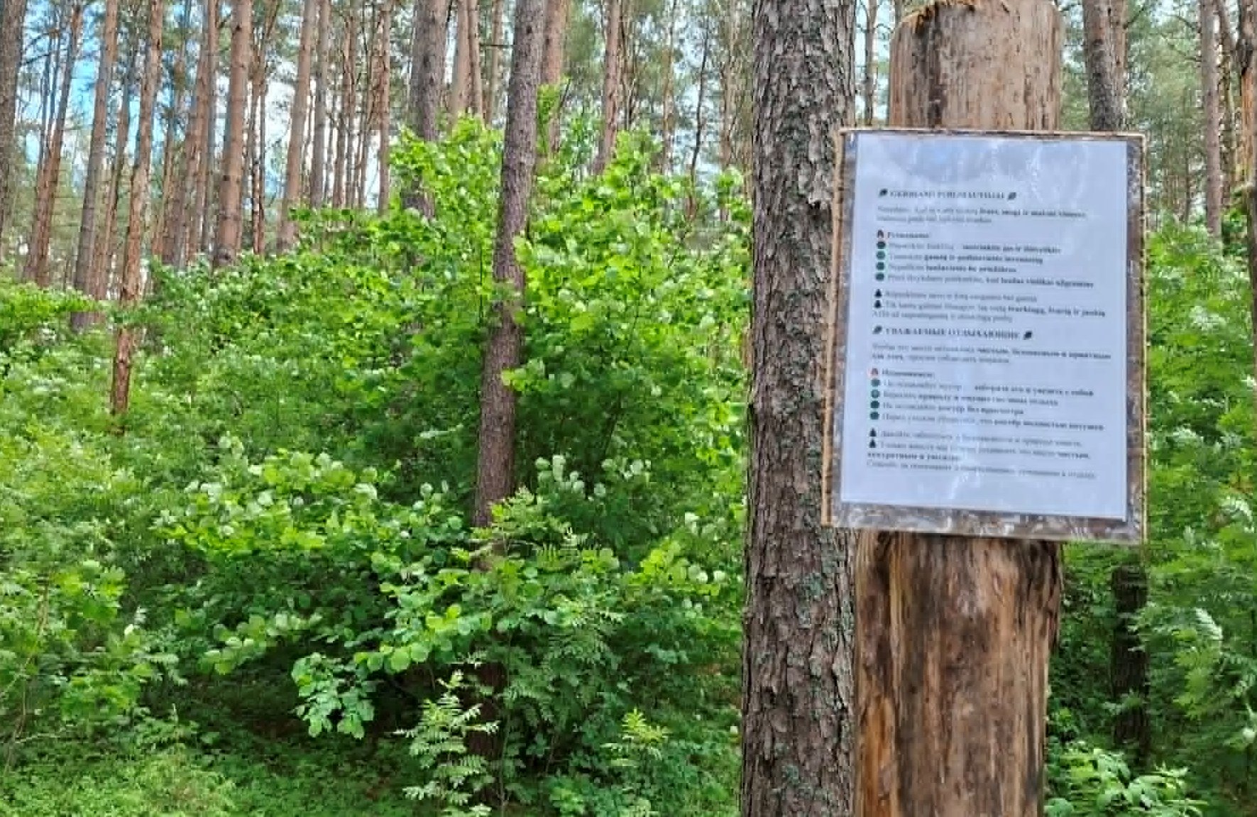Беречь природу или платить штрафы: о пожарах, мусоре и ответственности