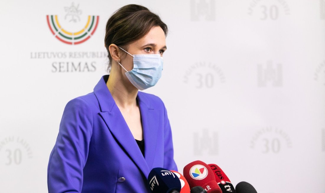 Спикер Сейма Литвы: в коалиции есть согласие по закону о партнерских отношениях