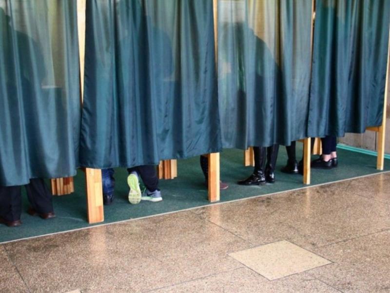 Четверг – последний день досрочного голосования на выборах президента Литвы